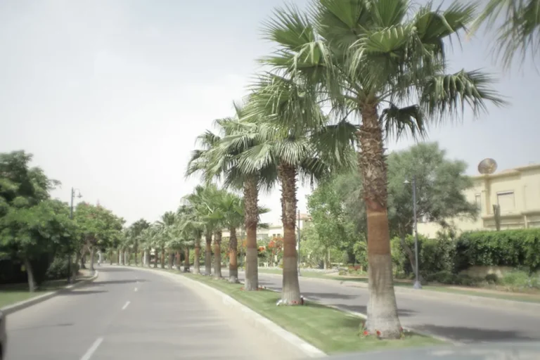 Gardenia Park 1 in 6th of October City by IGI Real Estate في 6th of October City